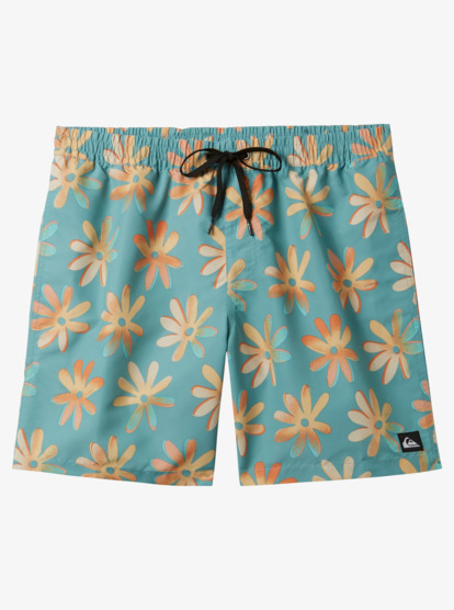 Quiksilver mens hot sale swim shorts