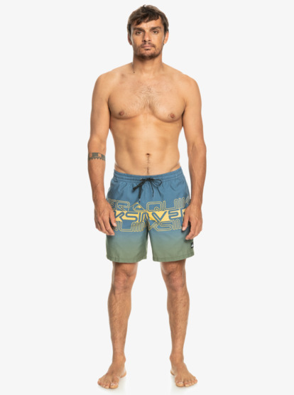 Quiksilver everyday best sale swim shorts