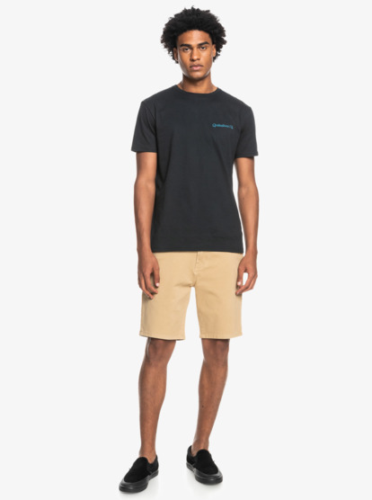 Quiksilver best sale krandy shorts