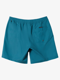 Men's Swim Shorts - Shop the Collection Online | Quiksilver