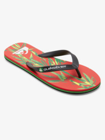 Molokai Art - Beach Flip-Flops for Men  AQYL101360