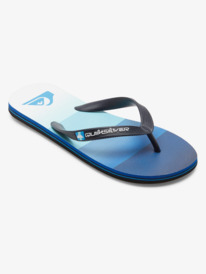 Molokai Stripe - Beach Flip-Flops for Men  AQYL101361