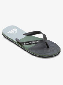 Molokai Stripe - Beach Flip-Flops for Men  AQYL101361