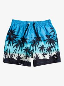 Everyday Paradise 14" - Swim Shorts for Boys 8-16  EQBJV03390