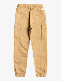 Quicksilver sale cargo pants