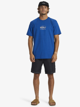 Men's T-shirts - Shop Online | Quiksilver