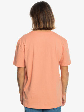 Men's T-shirts - Shop Online | Quiksilver