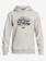 Big Logo Snow - Technical Hoodie for Boys 8-16  EQBFT03514