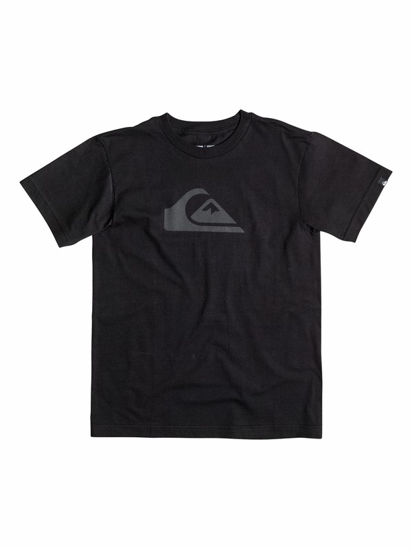 quiksilver, Boys 2-4 Everyday Logo Core T-Shirt, Anthracite (kvj0) 0 Boys 2-4 Everyday Logo Core T-Shirt 40544019 Quiksilver