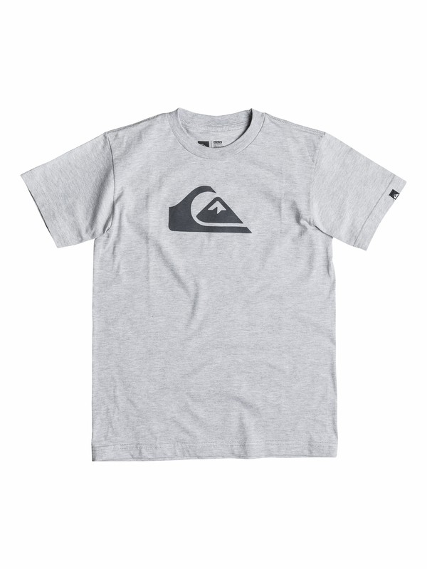 quiksilver, Boys 4-7 Everyday Logo Core T-Shirt, Griffin-h (skth) 0 Boys 4-7 Everyday Logo Core T-Shirt 40554019 Quiksilver