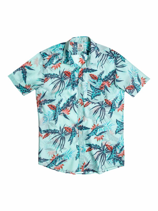 quiksilver, Camisa Everyday Print - Niños 4 -7, Sage Gray - Solid (bfr0) 0 Camisa Everyday Print - Niños 4 -7 40554050 Quiksilver