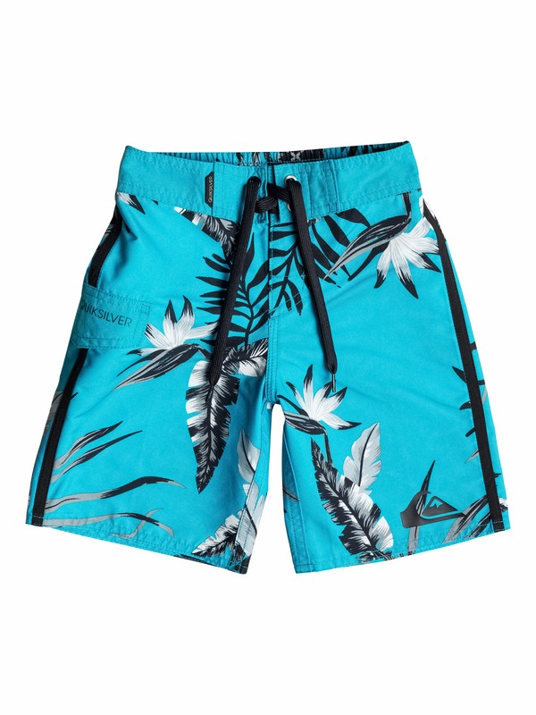 quiksilver, Boys 4-7 Frames Madagascar Boardshorts, Hawaiian Ocean (bmj0) 0 Boys 4-7 Frames Madagascar Boardshorts 40555008 Quiksilver
