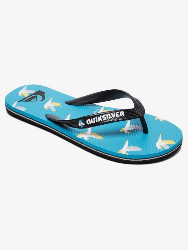 quiksilver, Boy's 8-16 Molokai Cockatoo Flip-Flops, BLACK/BLUE/GREY (xkbs) 0 Boy's 8-16 Molokai Cockatoo Flip-Flops Black AQBL100382 Quiksilver