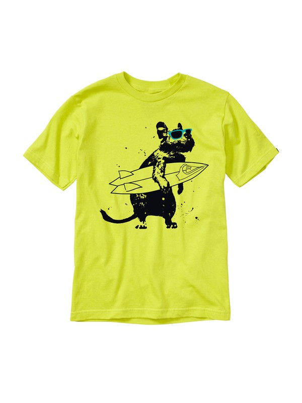 quiksilver, CHIMPUNK BT0 YZ5, CITRIC ACID (ggp0) 0 CHIMPUNK BT0 YZ5 AQBZT00445 Quiksilver