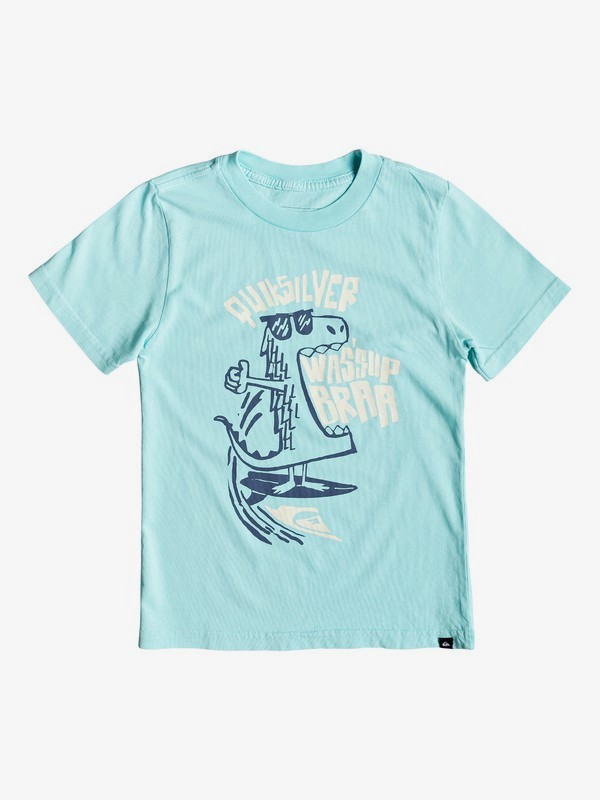 quiksilver, Boy's 2-7 Wassup Dino Tee, AQUA SPLASH (bzg0) 0 Boy's 2-7 Wassup Dino Tee Blue AQKZT03439 Quiksilver