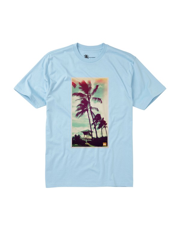 quiksilver, ARTIFACT QMT0 BN2, TILE (bgc0) 0 ARTIFACT QMT0 BN2 AQMZT00061 Quiksilver