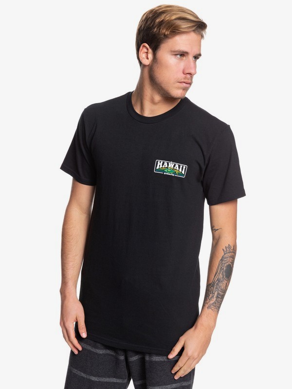 quiksilver, HI Sunshine Tee, BLACK (kvj0) 0 HI Sunshine Tee Black AQYZT06064 Quiksilver