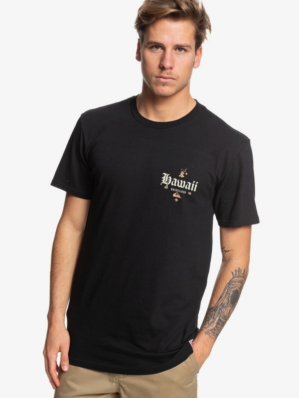 quiksilver, HI Backer Tee, BLACK (kvj0) 0 HI Backer Tee Black AQYZT06065 Quiksilver