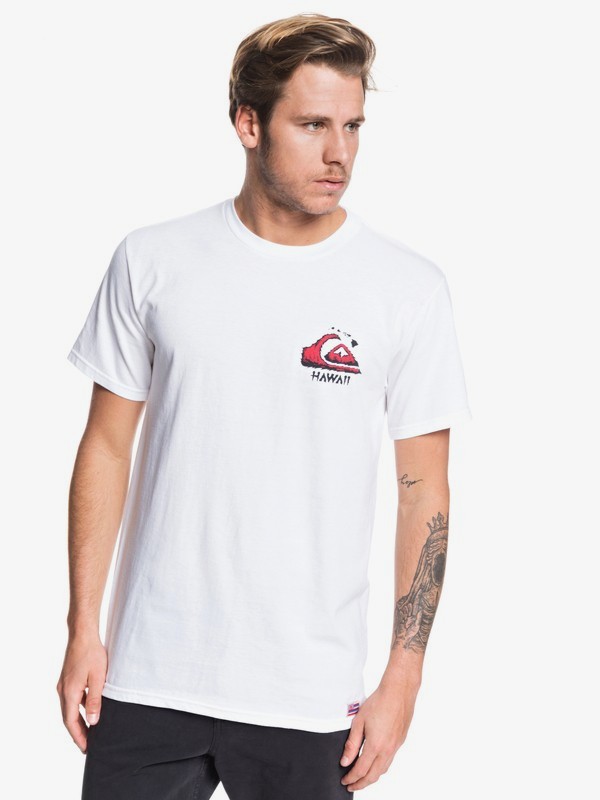 quiksilver, HI Boar Tee, WHITE (wbb0) 0 HI Boar Tee White AQYZT06221 Quiksilver
