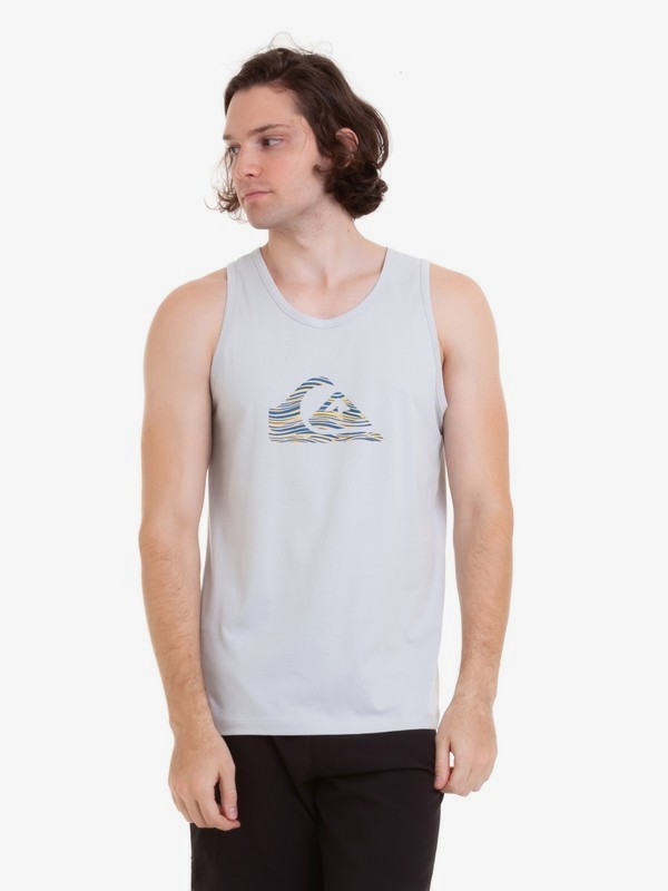 quiksilver, Camiseta Regata Stripe Logo Quiksilver, SILVER* (sil) 0 Camiseta Regata Stripe Logo Quiksilver Cinza BR61231988 Quiksilver
