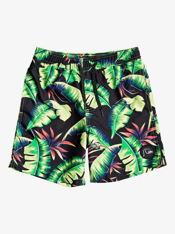 quiksilver, Poolsider 15" - Short de Natación para Chicos 8-16, JADE LIME (gft6) 0 Poolsider 15" - Short de Natación para Chicos 8-16 Verde EQBJV03194 Quiksilver