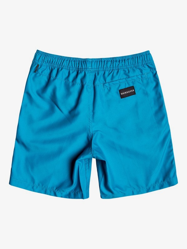 Quiksilver Boys Big Everyday Volley Youth 15 Boardshort Swim Trunk
