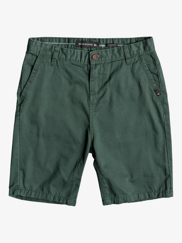 quiksilver, Everyday - Chino Shorts for Boys 8-16, GARDEN TOPIARY (grt0) 0 Everyday - Chino Shorts for Boys 8-16 Green EQBWS03225 Quiksilver