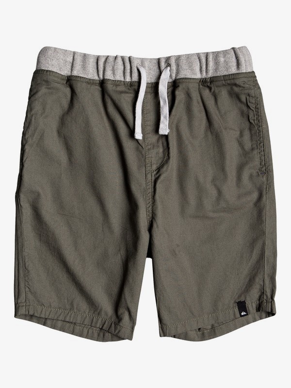 quiksilver, Seaside Coda - Shorts for Boys 8-16, THYME (cqy0) 0 Seaside Coda - Shorts for Boys 8-16 Brown EQBWS03272 Quiksilver