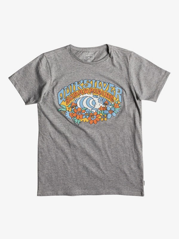 quiksilver, Phantasy Land - T-shirt pour garçon 8-16 ans, QUIET SHADE HEATHER (kzeh) 0 Phantasy Land - T-shirt pour garçon 8-16 ans Noir EQBZT03921 Quiksilver