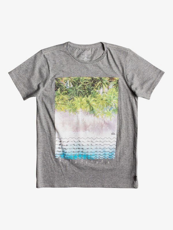 quiksilver, Детская футболка Perth Or Bust, QUIET SHADE HEATHER (kzeh) 0 Детская футболка Perth Or Bust Черный EQBZT03922 Quiksilver