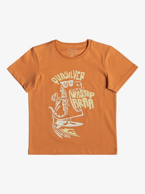 quiksilver, Детская футболка Wasup Dino, FLAMINGO (nks0) 0 Детская футболка Wasup Dino Оранжевый EQKZT03288 Quiksilver