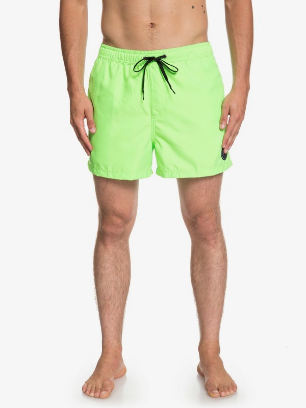 quiksilver, Everyday 15" - Swim Shorts, GREEN GECKO (ggy0) 0 Everyday 15" - Swim Shorts Green EQYJV03407 Quiksilver