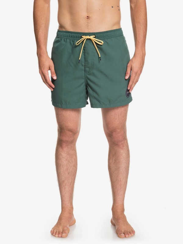 quiksilver, Everyday 15" Swim Shorts, GARDEN TOPIARY (grt0) 0 Everyday 15" Swim Shorts Green EQYJV03407 Quiksilver
