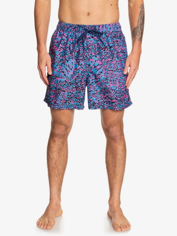 quiksilver, Variable 17" Volleys, MALIBU (bma6) 0 Variable 17" Volleys Blue EQYJV03415 Quiksilver