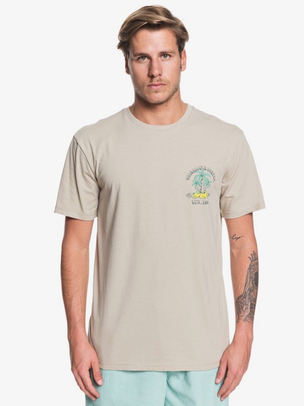 quiksilver, Above The Up Tee, PURE CASHMERE (clb0) 0 Above The Up Tee Brown EQYZT05446 Quiksilver