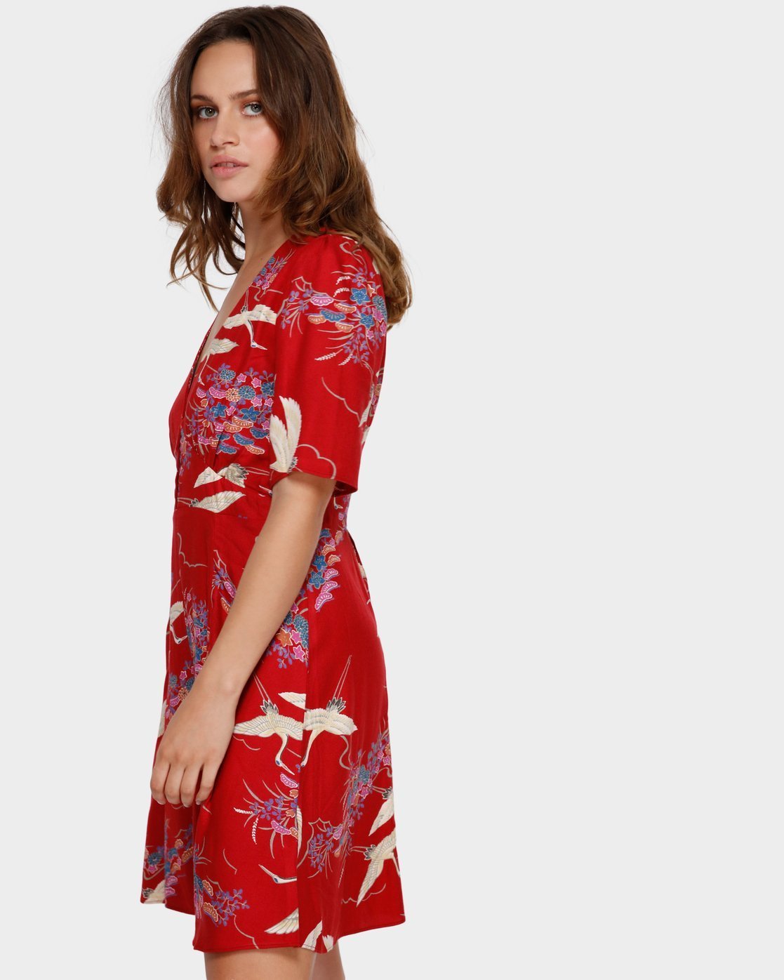 cranes dresses