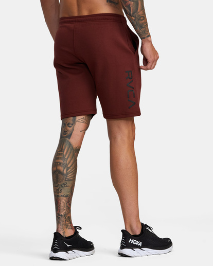 5 VA Sport 19" - Elastische Shorts für Männer Braun AVYWS00135 RVCA