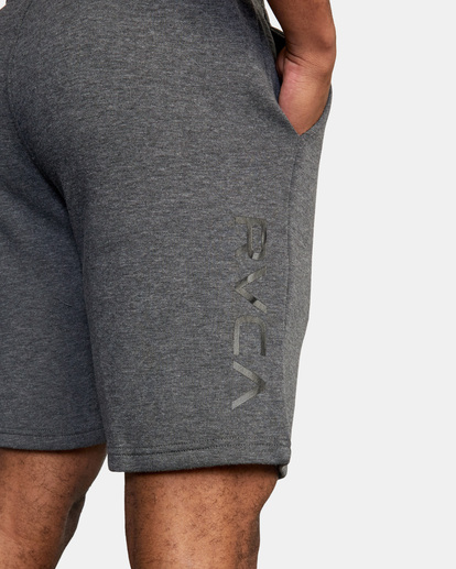 10 VA Sport 19" - Elastische Shorts für Männer Grau AVYWS00135 RVCA