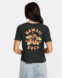 HIBISCUS HAWAII SS  AVJZT00696