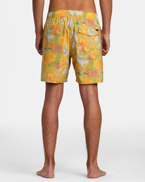 Barnes - Swim Shorts for Men  AVYBS00265