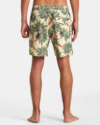 Barnes - Swim Shorts for Men  AVYBS00265