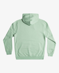 1 Big RVCA - Sweat à capuche pour Homme Vert AVYSF00223 RVCA