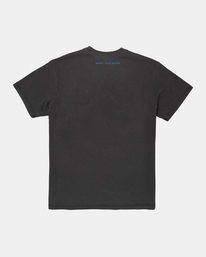 JESSE BROWN SHAPES  AVYZT01510