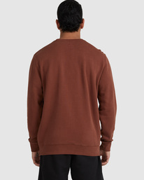 1 Balance Act - Sudadera para Hombre Marron F1CRRARVF2 RVCA