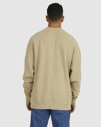 1 Hoops Raglan - Sudadera para Hombre Beige UVYFT00177 RVCA