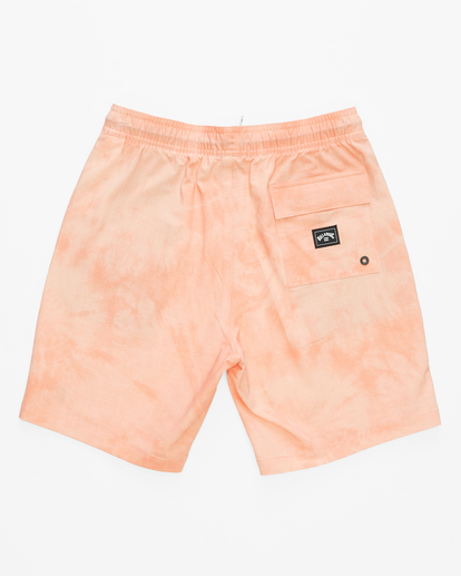 1 Boys' Sundays Layback Boardshorts 16" Green ABBBS00141 Billabong