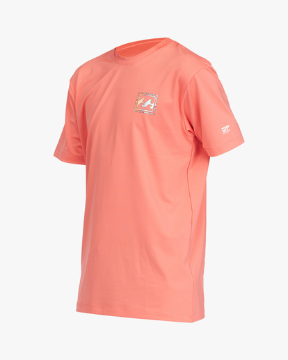 4 Boys' Crayon Wave Loose Fit Short Sleeve Surf Tee Orange ABBWR00122 Billabong