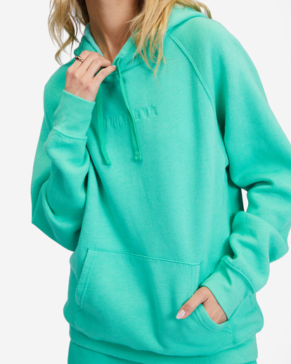 Billabong legacy deals hoodie