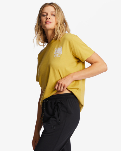 2 A/Div Tee Short Sleeve UPF 50 T-Shirt Yellow ABJZT00620 Billabong