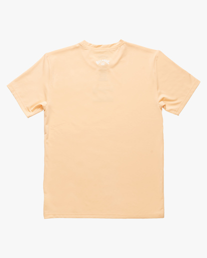 1 Boy's (2-7) All Day Wave Loose Fit Short Sleeve Surf Tee Pink ABTWR00100 Billabong